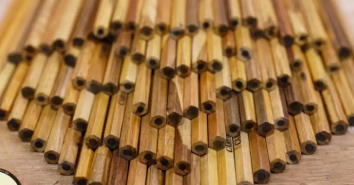 What Wood Are Pencils Made Of